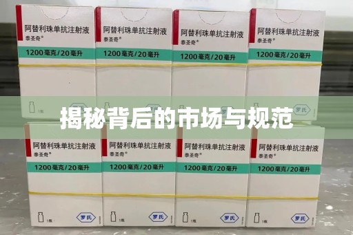聊城揭秘背后的市场与规范