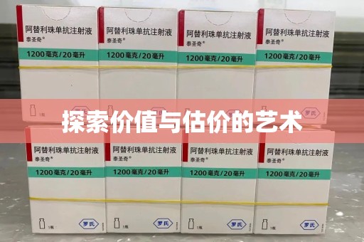 聊城探索价值与估价的艺术