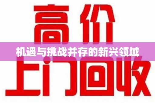 聊城机遇与挑战并存的新兴领域