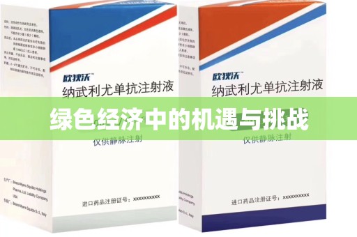 聊城绿色经济中的机遇与挑战