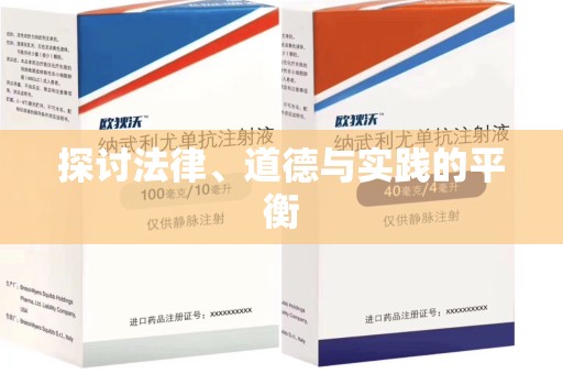 聊城探讨法律、道德与实践的平衡