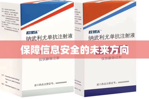 聊城保障信息安全的未来方向