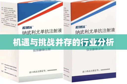 聊城机遇与挑战并存的行业分析