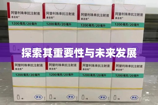 聊城探索其重要性与未来发展