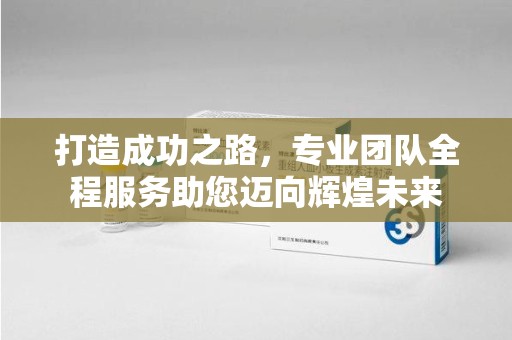 聊城打造成功之路，专业团队全程服务助您迈向辉煌未来