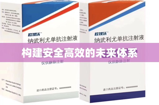 聊城构建安全高效的未来体系