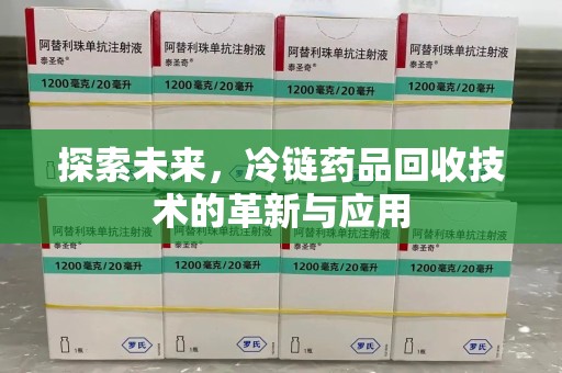 聊城探索未来，冷链药品回收技术的革新与应用