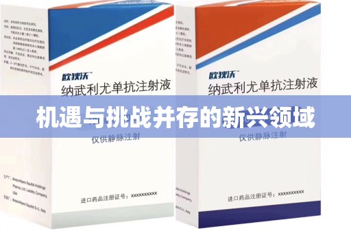 聊城机遇与挑战并存的新兴领域