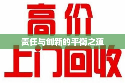 聊城责任与创新的平衡之道