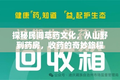 聊城探秘民间草药文化，从山野到药房，收药的奇妙旅程