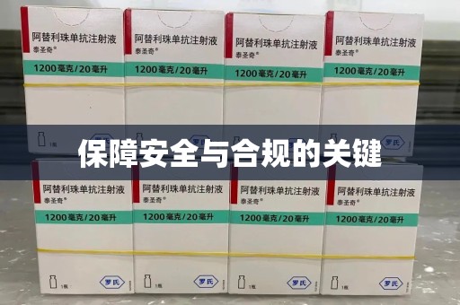 聊城保障安全与合规的关键