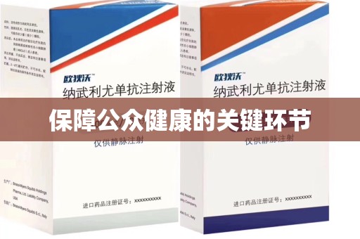 聊城保障公众健康的关键环节