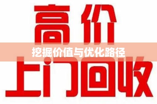 聊城挖掘价值与优化路径