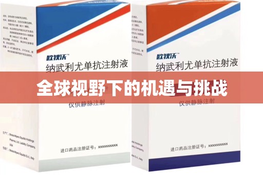 聊城全球视野下的机遇与挑战